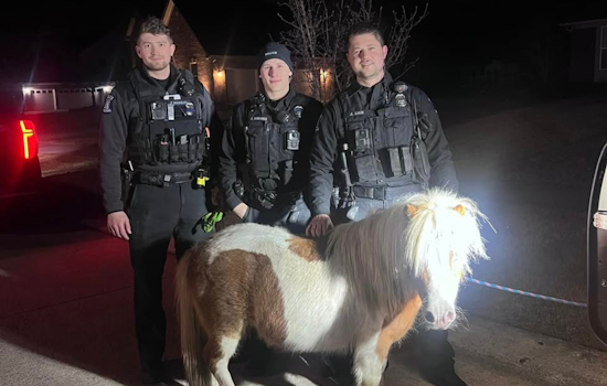 Miniature Horse Rescued by Brownstown Township Police After St. Patrick's Day Jaunt Near Detroit