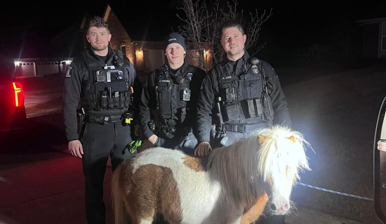 Miniature Horse Rescued by Brownstown Township Police After St. Patrick's Day Jaunt Near Detroit