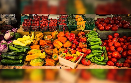 Minneapolis Food Council Seeks New Members to Shape City's Sustainable and Equitable Food Policies