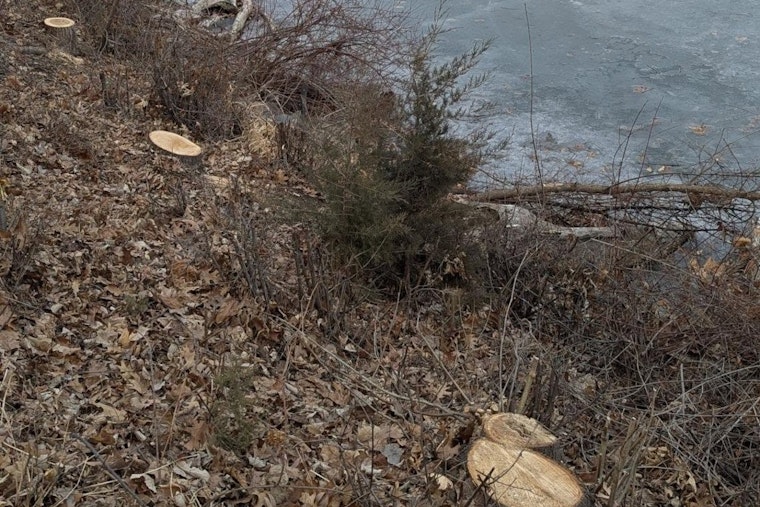 Minneapolis Park Authorities Seek Community Help Following Vandalism Near Cedar Lake