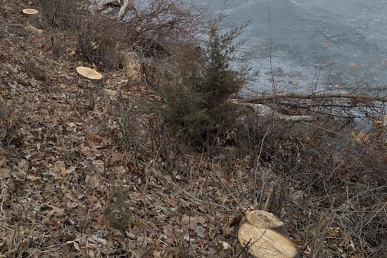 Minneapolis Park Authorities Seek Community Help Following Vandalism Near Cedar Lake
