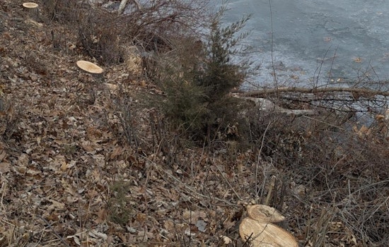 Minneapolis Park Authorities Seek Community Help Following Vandalism Near Cedar Lake