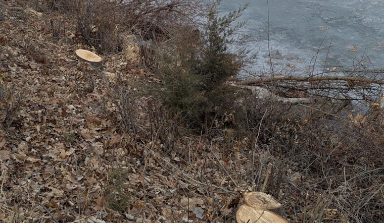 Minneapolis Park Authorities Seek Community Help Following Vandalism Near Cedar Lake