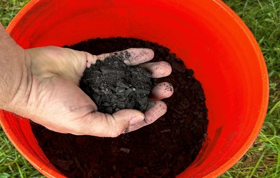 Minneapolis Pioneers North America's First City-Operated Biochar Facility to Combat Climate Change