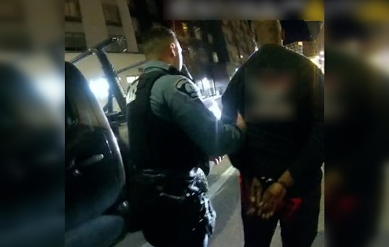 Minneapolis Police Turn Routine Traffic Stop into Arrest of Wanted Man and Recovery of Stolen Vehicle