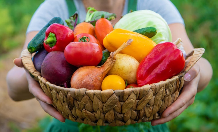 Minneapolis Seeks Community Members to Join Influential Homegrown Food Council