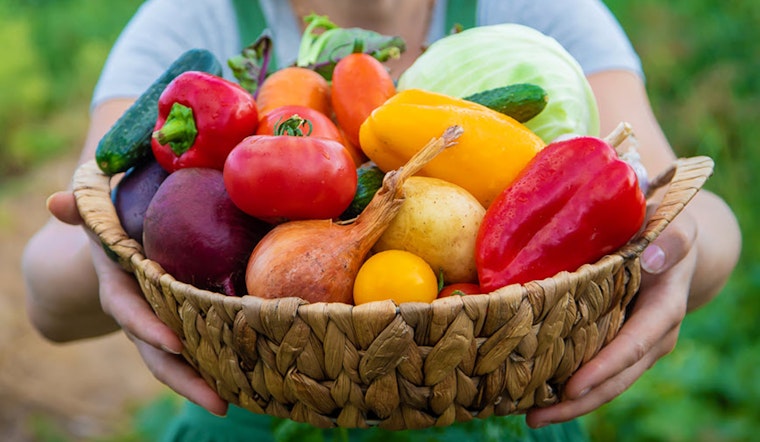 Minneapolis Seeks Community Members to Join Influential Homegrown Food Council