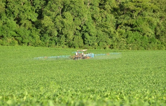 MIT Engineers Revolutionize Farming, New Spray-Coating Cuts Pesticide Waste, Saves Farmers Big Bucks