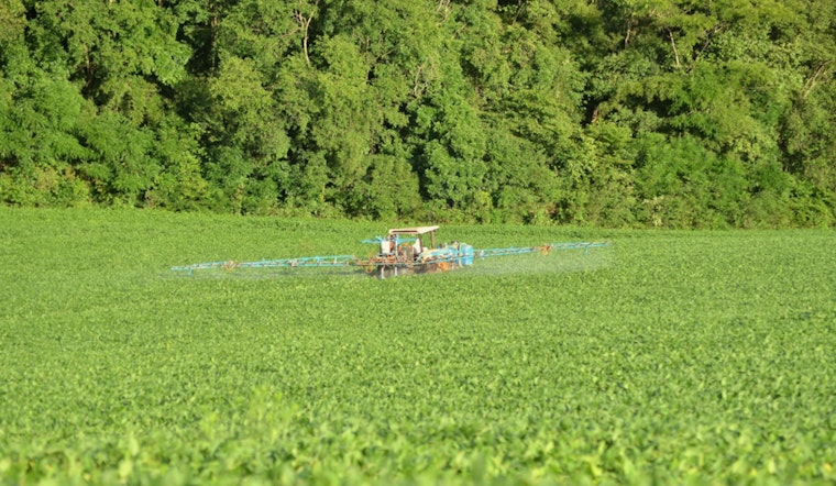 MIT Engineers Revolutionize Farming, New Spray-Coating Cuts Pesticide Waste, Saves Farmers Big Bucks