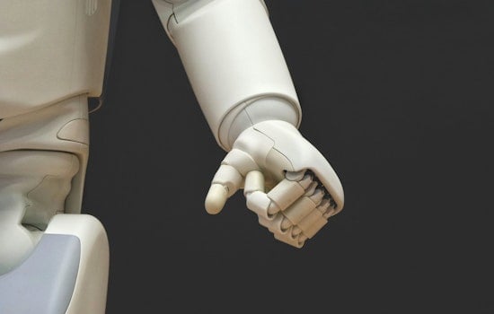 MIT Engineers Unveil Revolutionary Artificial Muscles for Next-Gen Biohybrid Robots