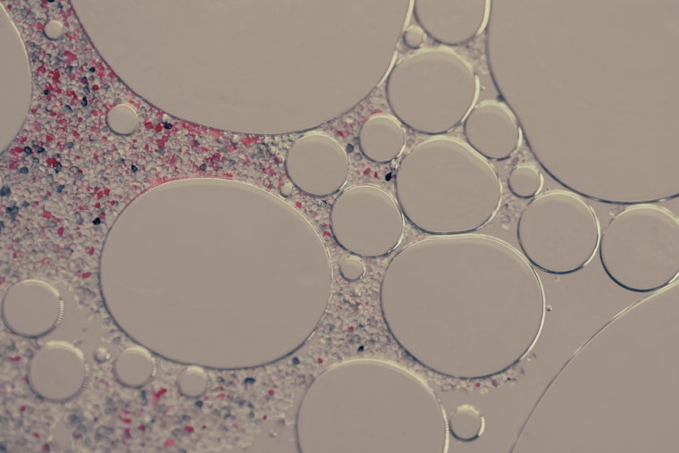 MIT Scientists Engineer Shape-Shifting Cells, A Glimpse into Biomedical Future with Light-Controlled Starfish Eggs