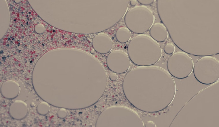 MIT Scientists Engineer Shape-Shifting Cells, A Glimpse into Biomedical Future with Light-Controlled Starfish Eggs