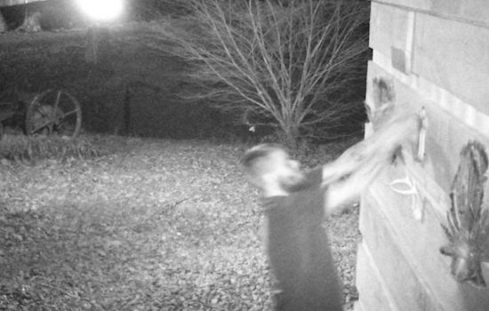 Monroe County Sheriff Seeks Public's Aid via Facebook to Identify Suspect in Red Ankle Road Theft