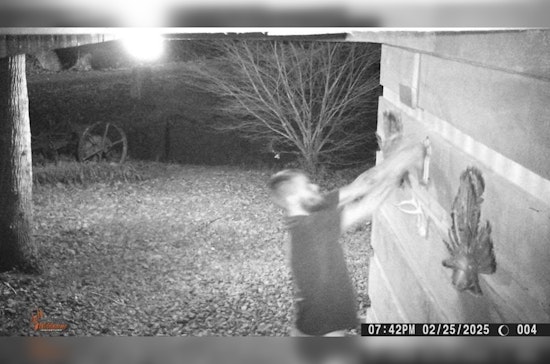 Monroe County Sheriff's Office Requests Public Help to Identify Suspect in Red Ankle Road Theft