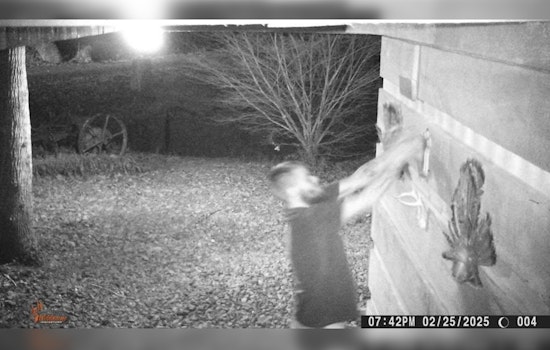 Monroe County Sheriff's Office Requests Public Help to Identify Suspect in Red Ankle Road Theft
