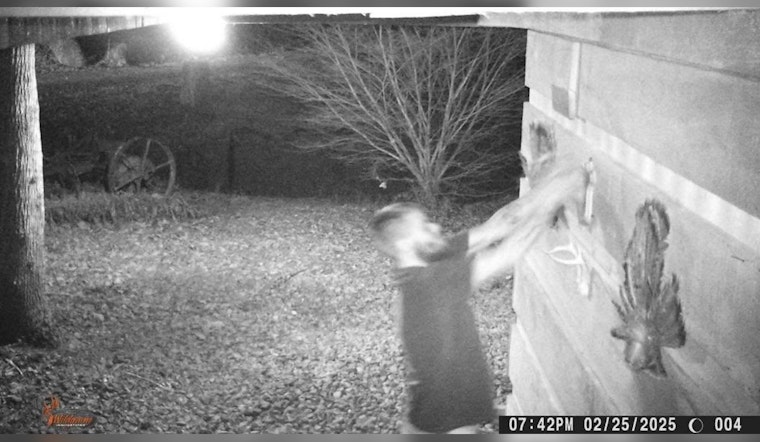 Monroe County Sheriff's Office Requests Public Help to Identify Suspect in Red Ankle Road Theft