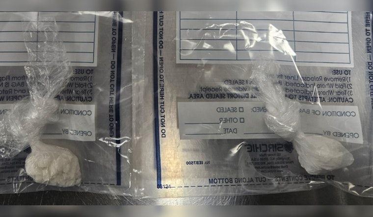 Monroe Police Revive Woman with Narcan During Narcotics Arrest, Unearth Pistol and Pursue Charges