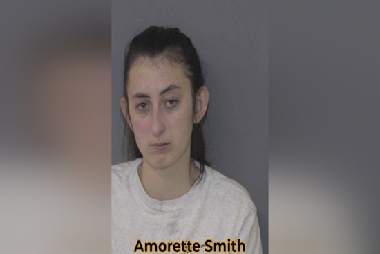 Monroe Woman Charged with Felony Animal Neglect After Death of Two Cats
