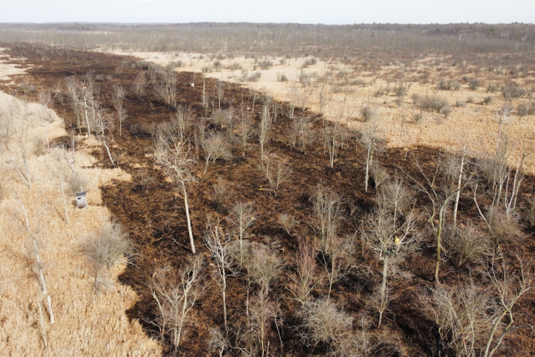 Montcalm County Firefighters Tame 21-Acre Wildfire, No Injuries Reported