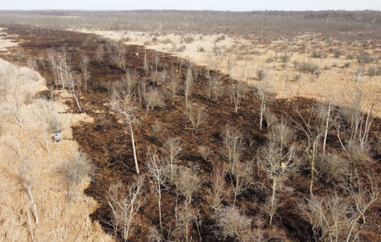 Montcalm County Firefighters Tame 21-Acre Wildfire, No Injuries Reported