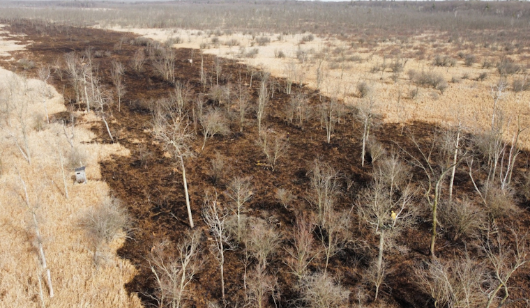 Montcalm County Firefighters Tame 21-Acre Wildfire, No Injuries Reported