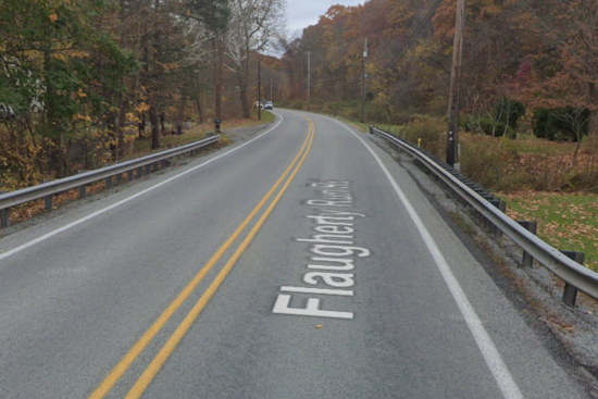 Moon Township Reels from Road Closure and Power Outages After Large Tree Collapse