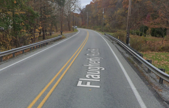 Moon Township Reels from Road Closure and Power Outages After Large Tree Collapse