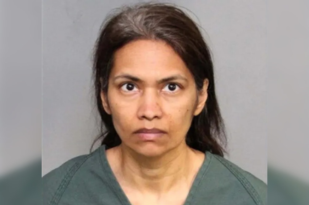 Mother Charged with Slitting Son's Throat Post-Disneyland Trip, Blood on Hands as Police Nab Suspect
