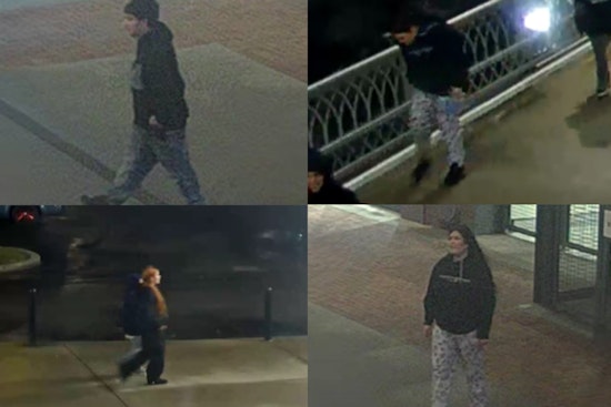 Nashville Police Seek Help Identifying Suspects in Skydeck Rooftop Bar Burglary
