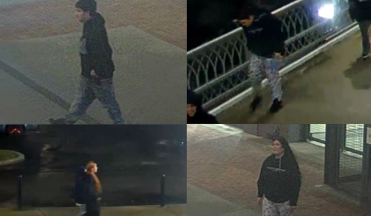Nashville Police Seek Help Identifying Suspects in Skydeck Rooftop Bar Burglary