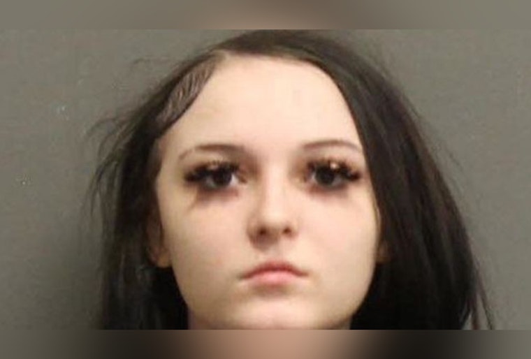 Nashville Teen Charged in Connection with Fatal Robbery at William Pitts Park