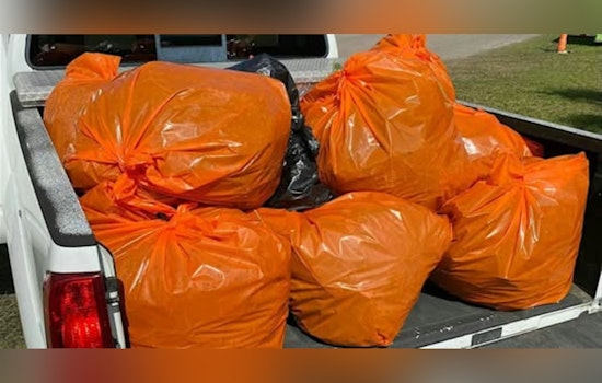 Nassau County Rallies Volunteers for "Invasive Species Round-Up" on Earth Day