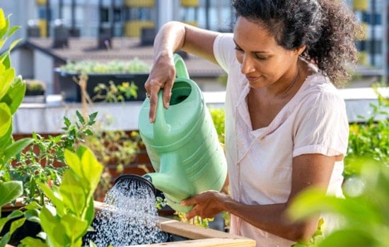 New Gardening Class in Spanish Blooms in Raleigh as Ready Garden Grow Begins at Peach Road Park