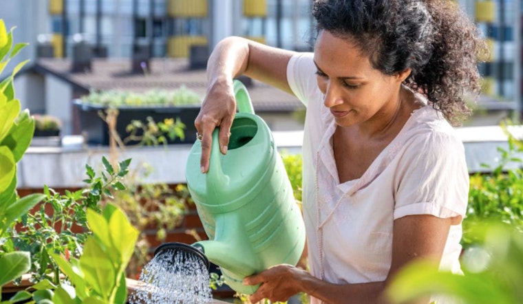 New Gardening Class in Spanish Blooms in Raleigh as Ready Garden Grow Begins at Peach Road Park
