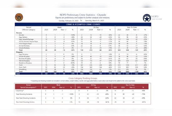 New Orleans Sees Drop in Gun Arrests and Seizures, NOPD Arrests Suspect in Auto Burglaries