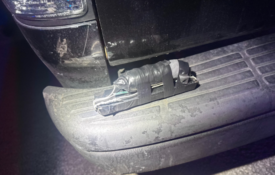 New Smyrna Beach Traffic Stop Leads to Bomb Squad Intervention, Driver Arrested