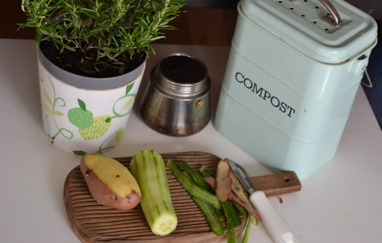 New York City Residents Face Fines for Non-Compliance as Mandatory Composting Takes Effect