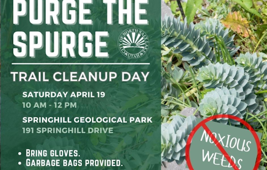North Salt Lake Calls for Volunteers to Combat Invasive Spurge at Springhill Geological Park Cleanup
