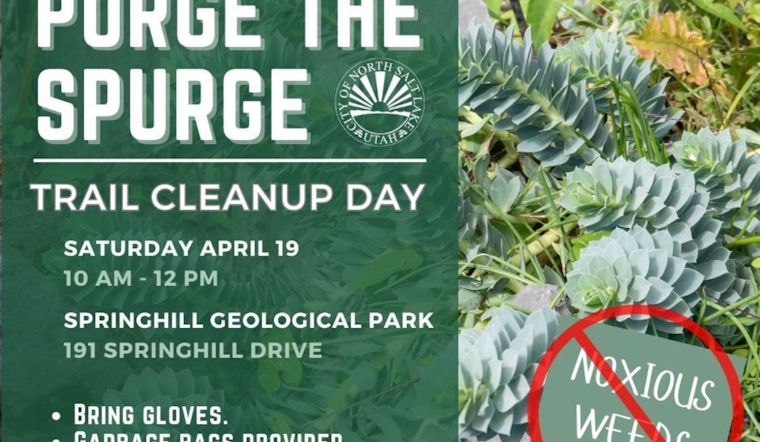 North Salt Lake Calls for Volunteers to Combat Invasive Spurge at Springhill Geological Park Cleanup