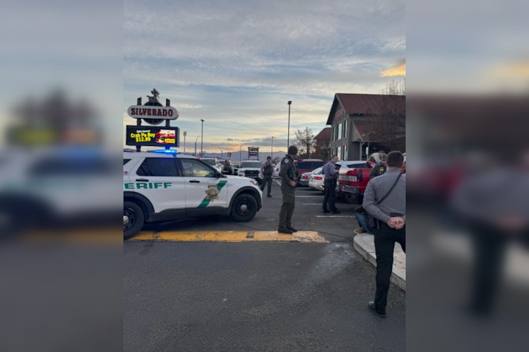 Northern Nevada Traffic Blitz Nets 7 DUI Arrests, 100 Citations in Multi-Agency Operation