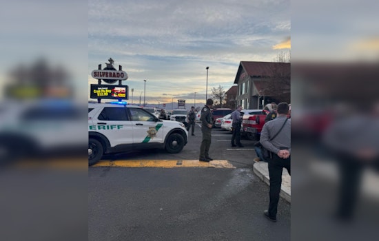 Northern Nevada Traffic Blitz Nets 7 DUI Arrests, 100 Citations in Multi-Agency Operation
