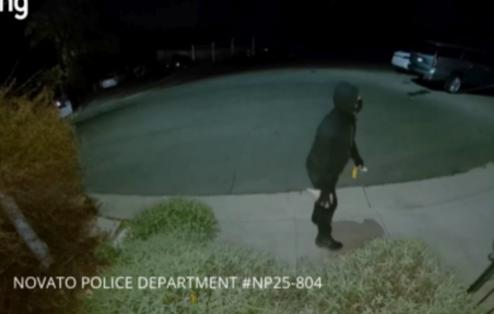 Novato Police Seek Community Help in Felony Vandalism Case of Tesla CyberTruck