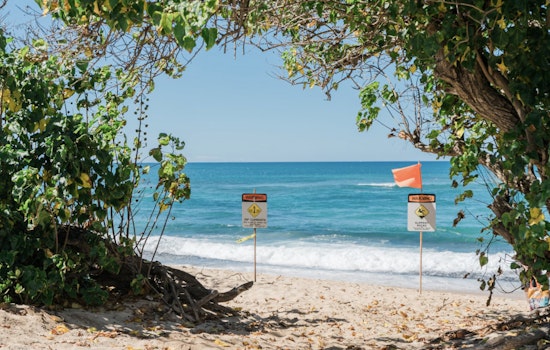 NWS Tampa Issues Rip Current Warnings and High Surf Advisory for Florida Coastal Counties