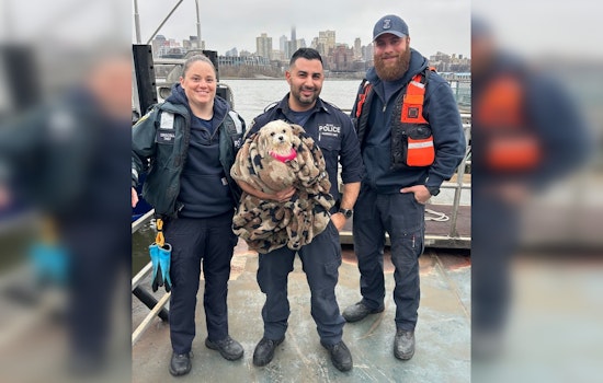 NYPD Harbor Unit Rescues Puppy from East River, Calls for Information to Reunite with Owners