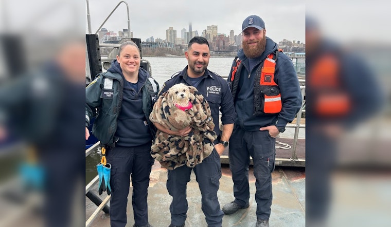NYPD Harbor Unit Rescues Puppy from East River, Calls for Information to Reunite with Owners