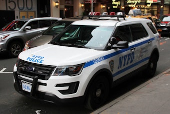 NYPD Ramps Up Hunt for Burglary Suspect in Staten Island, Manhattan, and Brooklyn Crime Spree