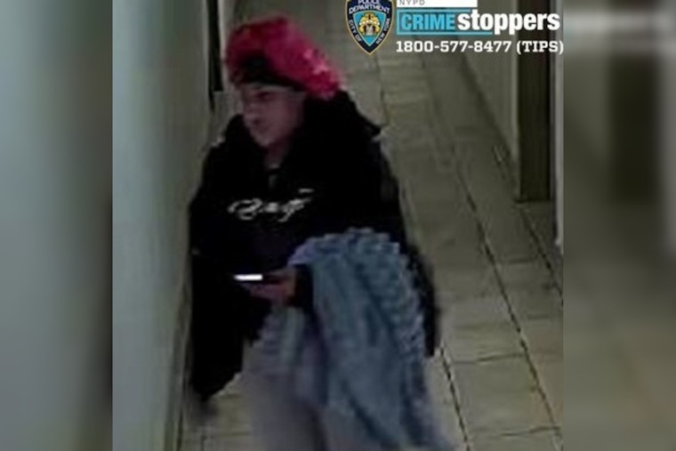 NYPD Seeks Public's Help in Bronx Assault Case, Offers $3,500 Reward for Information