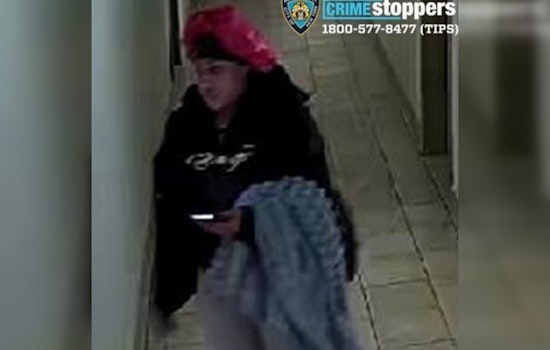 NYPD Seeks Public's Help in Bronx Assault Case, Offers $3,500 Reward for Information