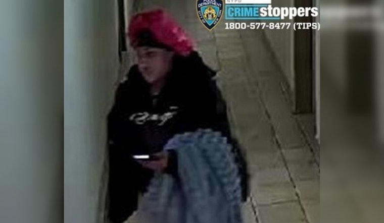 NYPD Seeks Public's Help in Bronx Assault Case, Offers $3,500 Reward for Information