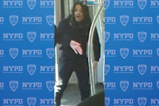 NYPD Seeks Public's Help in Locating Suspect After Knife Attack on Bronx Subway
